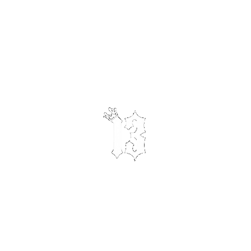 THIRTEEN CLUB  